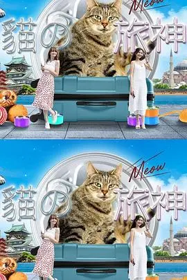 《猫之旅神》：一场喵星人的奇幻冒险，治愈你的心灵！探索隐藏的家庭秘密与成长