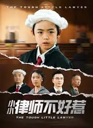 《律师不好惹》：当法律遇上“不正经”，爆笑又刺激的职场喜剧！