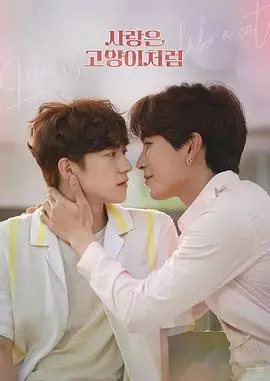 《爱情像猫一样》：失忆与英勇的浪漫冒险，如何找回真爱